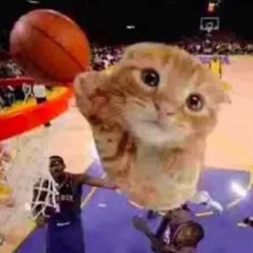 Ballincat